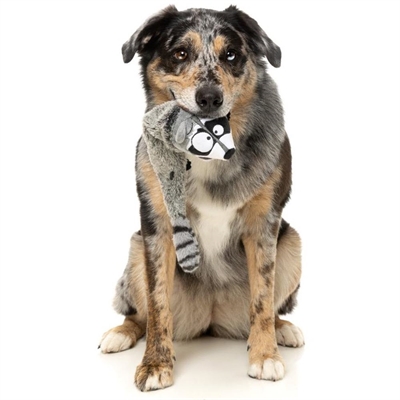 FuzzYard Toy The Yeetz Den Super Sjove Vaskebjørn Run Along Racoon